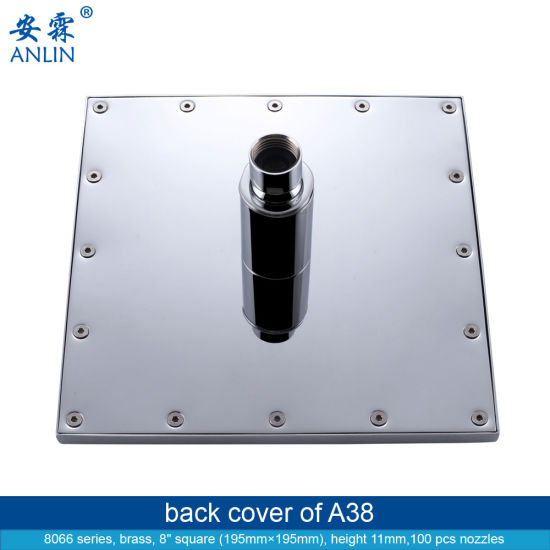 Detachable Brass 8 Inch LED Rain Shower