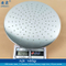 12 Inch Big Round Detachable Overhead Shower